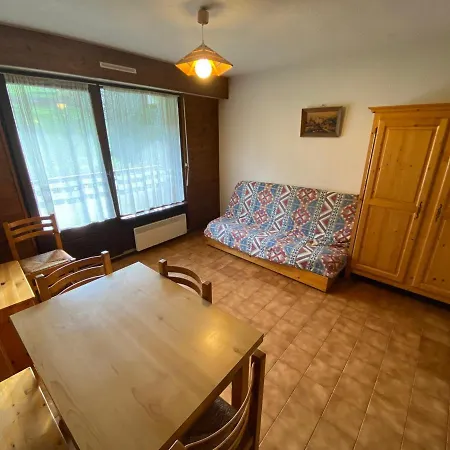 Cosy Proche Des Pistes Avec Animaux Admis - Fr-1-692-64 Apartment *